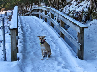 picture taken during a hike