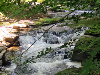 picture taken during a hike