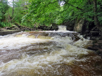 picture taken during a hike
