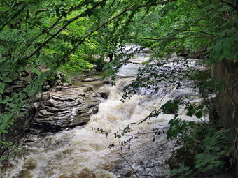 picture taken during a hike