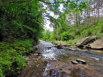 picture taken during a hike