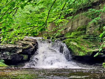 picture taken during a hike