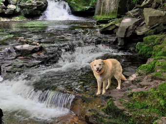 picture taken during a hike