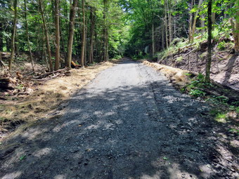 picture taken during a hike