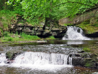picture taken during a hike
