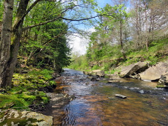 picture taken during a hike