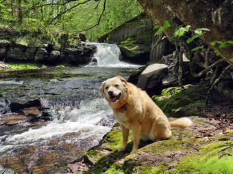 picture taken during a hike