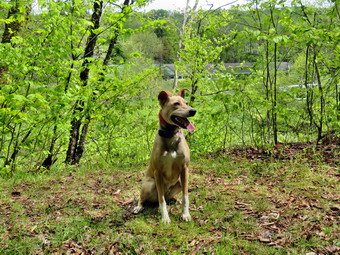 picture taken during a hike