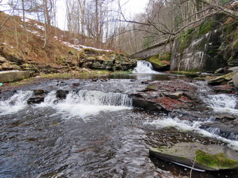 picture taken during a hike