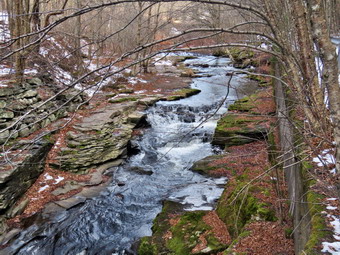 picture taken during a hike