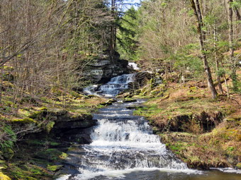 picture taken during a hike
