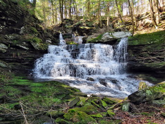 picture taken during a hike