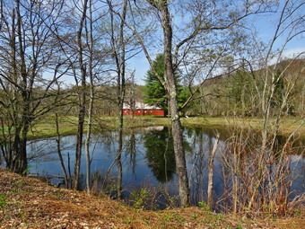 picture taken during a hike