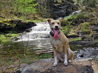 picture taken during a hike