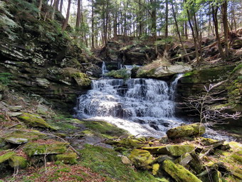 picture taken during a hike