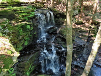 picture taken during a hike