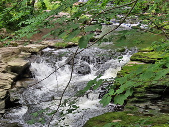 picture taken during a hike