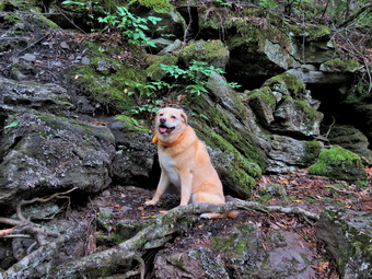 picture taken during a hike