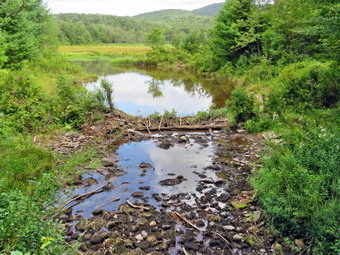 picture taken during a hike