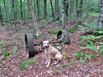 picture taken during a hike