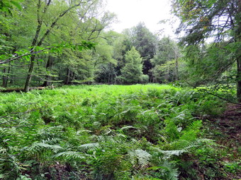 picture taken during a hike