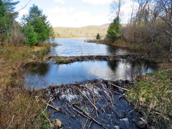 picture taken during a hike