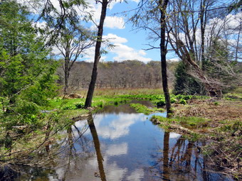 picture taken during a hike