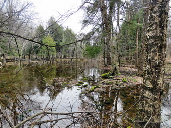 picture taken during a hike