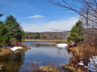 picture taken during a hike