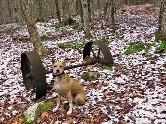 picture taken during a hike