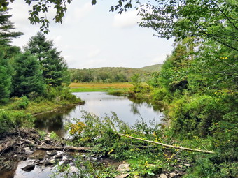 picture taken during a hike