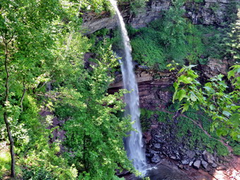 picture taken during a hike