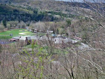 picture taken during a hike