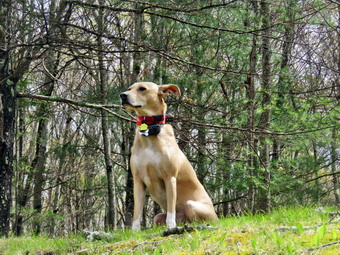 picture taken during a hike