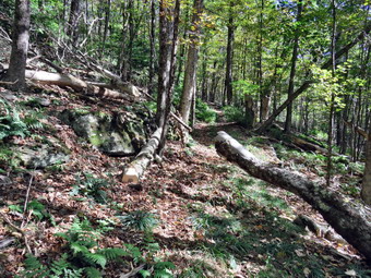 picture taken during a hike