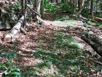 picture taken during a hike