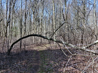 picture taken during a hike