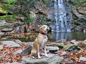 picture taken during a hike
