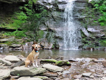 picture taken during a hike