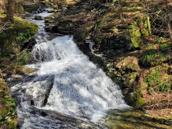 picture taken during a hike