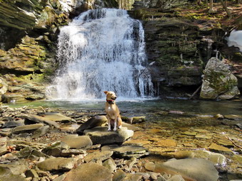 picture taken during a hike