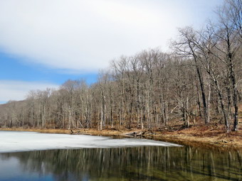 picture taken during a hike