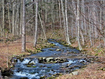 picture taken during a hike