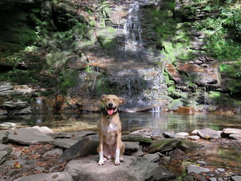 picture taken during a hike