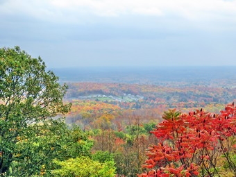picture taken during a hike