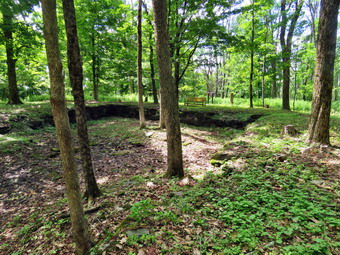 picture taken during a hike
